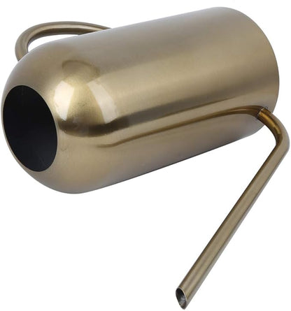 1.5L Watering Can Indoor Plants, Stainless Steel Watering Can with Long Spout Irrigation Tool Modern Style for Indoor Outdoor House Plants Flower