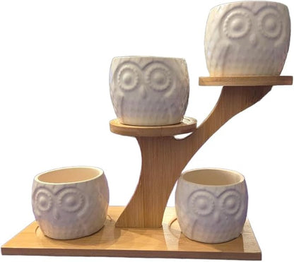 Blisse Wood Owl Planter (White)