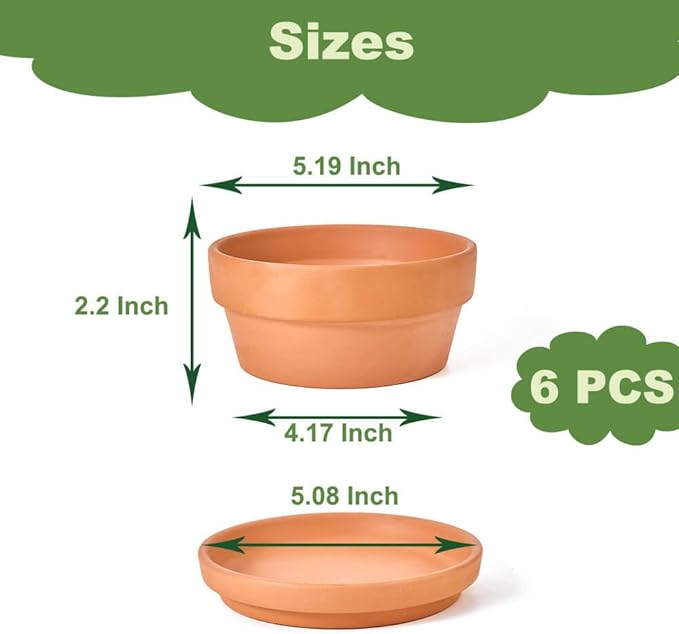 Small Shallow Terracotta Pot for Succulent - 6 Pcs Clay Planter Pots with Drainage Hole and Saucer, 5 Inch Shallow Plant Pottery Pots for Cactus Succulent and Other Indoor Outdoor Plants