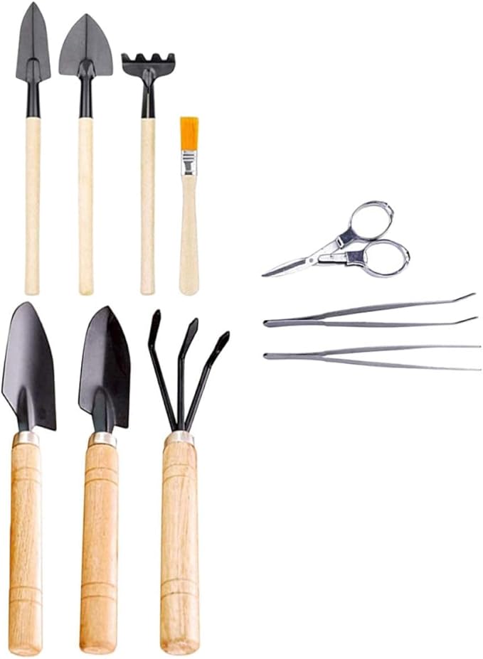 10pcs Succulent Planting Tool Set Mini Gardening Hand Tools for Potted Plants Bonsai Transplanting Kit Shovel and Rake for Indoor and Outdoor Use
