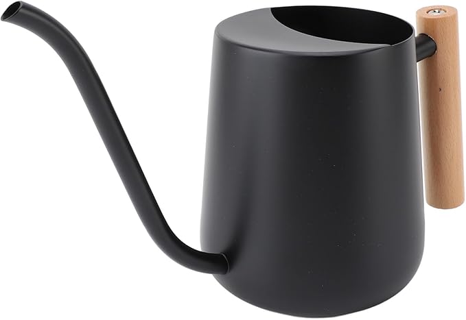 YOUTHINK Stainless Steel Watering Can for Indoor Plants, Modern Decorative Watering Pot with Long Spout 1000ml for Houseplant Office Potted Plants