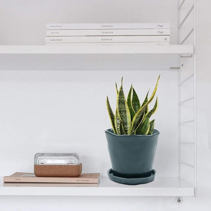 CHIVE ‘Tika’ Ceramic Planter Pot — Large 8" Succulent Pots for Indoor & Outdoor House Plants — Cute, Beautiful Modern Farmhouse Kitchen Decor — Spruce Green