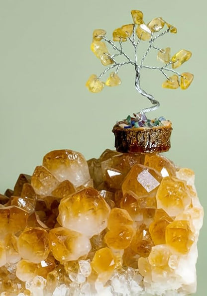 Crystal Tree Set of 12, Thoughtful Gifts for Women, Office Desk Decoration, Home, Shelf Decor for Positive Energy, Money, Reiki Healing, Good Luck, Birthday Gifts for Mom Love Ones