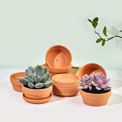 Small Shallow Terracotta Pot for Succulent - 6 Pcs Clay Planter Pots with Drainage Hole and Saucer, 5 Inch Shallow Plant Pottery Pots for Cactus Succulent and Other Indoor Outdoor Plants