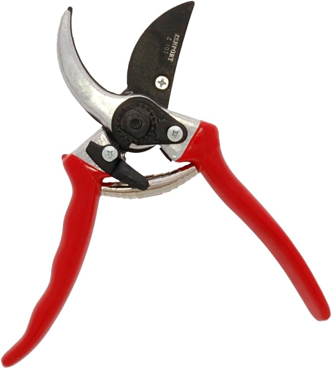Zenport Z103-10PK Pruning Shear, 10, Red