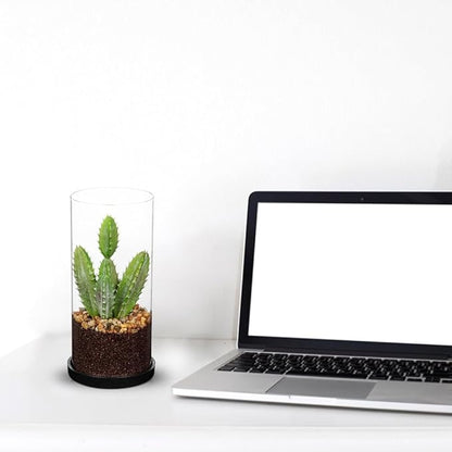 Artificial Succulent in Cylindrical Glass Vase Small Fake Cactus Plant with Modern Glass Terrarium Faux Plants Indoor Gift for Plant Lover Decor for Home Office Table Desk Shelf