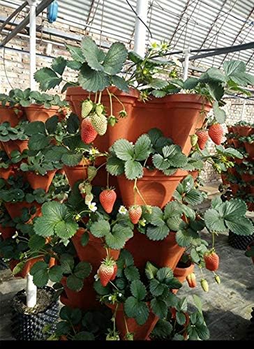 18 Inch Black Vertical Garden. use for Vegetable Strawberry herb Small Space Gardening.