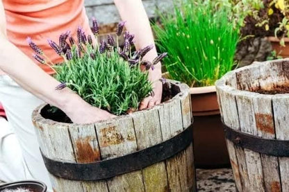 Gardenera Organic Moisture Control Potting Mix - Absorbs 33% More Water Than Basic Potting Soil - 10 Quart