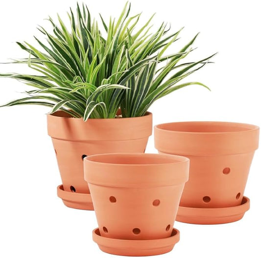 Yishang 8 Inch Clay Orchid Pots with Drainage Holes & Saucers - 3 Pack Large Terracotta Planter for Repotting, Plant Flower Pots for Orchid Indoor & Outdoor, Promotes Air Circulation