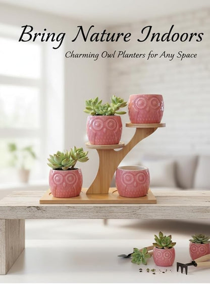 Blisse Wood Owl Planter (Pink)