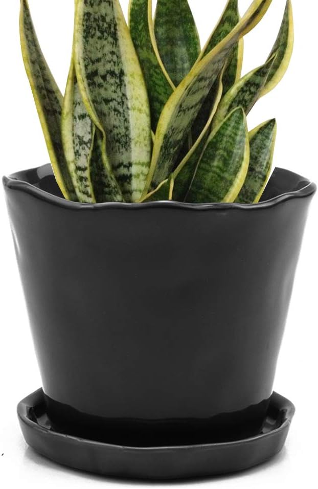 CHIVE ‘Tika’ Ceramic Planter Pot — Large 8" Succulent Pots for Indoor & Outdoor House Plants — Cute, Beautiful Modern Farmhouse Kitchen Decor — Black