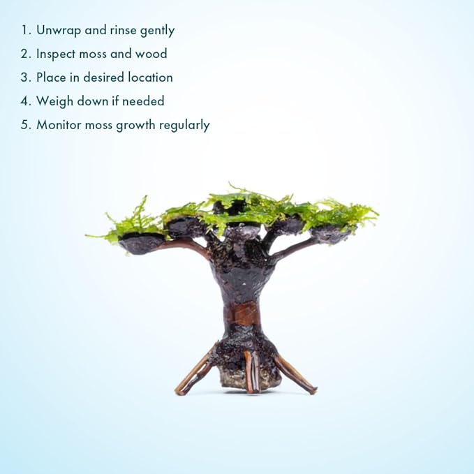 SubstrateSource Live Planted Decor - Moss on Bonsai (Aquascaping Tree) - Low to Moderate Light, Bright Green Freshwater Accent for Aquatic Layout, Midground Placement Centerpiece - Large, 1 Pack
