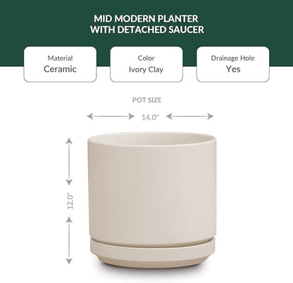 PLANTATOREM Ceramic 14 Inch Mid Modern Planter Pot with Drainage Hole and Saucer, Indoor Cylinder Round Flower Pot, Perfect for Planting Succulents, Herbs, Flowers, House Plants, Ivory Clay