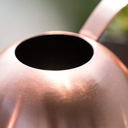 Stainless Steel Water Can for Indoor Plants and Garden (Rose Gold 30 oz)