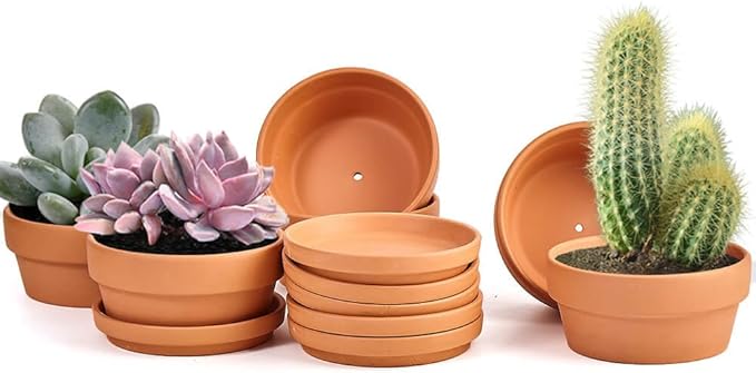 Small Shallow Terracotta Pot for Succulent - 6 Pcs Clay Planter Pots with Drainage Hole and Saucer, 5 Inch Shallow Plant Pottery Pots for Cactus Succulent and Other Indoor Outdoor Plants