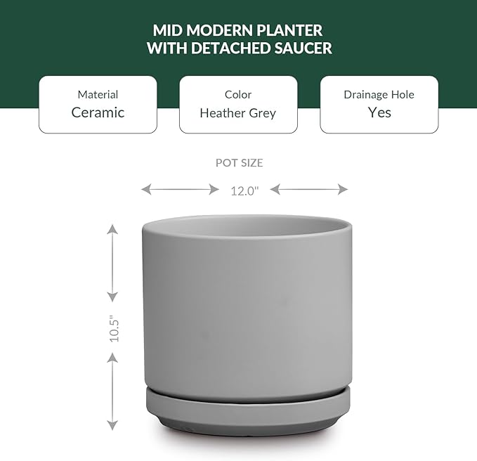 PLANTATOREM Ceramic 12 Inch Mid Modern Planter Pot with Drainage Hole and Saucer, Indoor Cylinder Round Flower Pot, Perfect for Planting Succulents, Herbs, Flowers, House Plants, Heather Grey