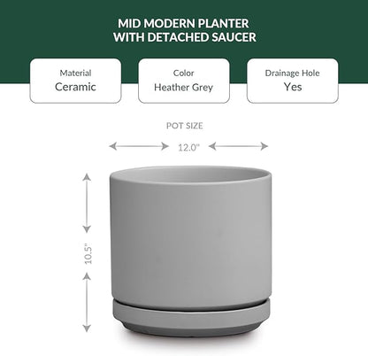 PLANTATOREM Ceramic 12 Inch Mid Modern Planter Pot with Drainage Hole and Saucer, Indoor Cylinder Round Flower Pot, Perfect for Planting Succulents, Herbs, Flowers, House Plants, Heather Grey