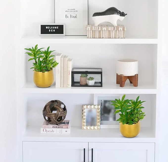 Briful Artificial Succulents Plants in Ceramic Pots, 2 Pack Faux Succulent Set with Gold Planters – Modern Desk Decor for Home Office Shelf Bathroom, Small Fake Plants Potted