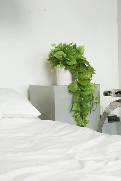 Retrograde 32" Realistic Fake Pothos Ivy Plant for Home Decor Indoor Silk Artificial Plant Large (Light Green)