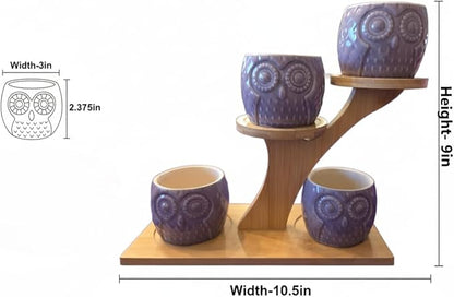 Blisse Wood Owl Planter (Blue)