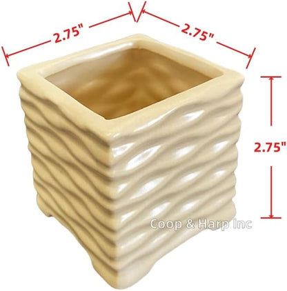Coop & Harp 3-Stalk 4" Lucky Bamboo Live Indoor Plant with Ceramic Cube Textured Vase, Live Indoor Lucky Bamboo for Home, Office and Gift (Cube Beige)