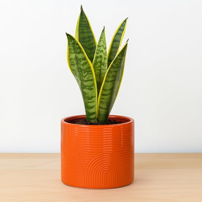 Elegant 6 Inch Ceramic Flower Pot – Indoor & Outdoor Planter for Succulents, Herbs, Small Plants – Includes Dibber & Widger – Thick-Walled Modern Design – Terracotta – 6" x 5.2"