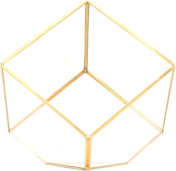 Gold Geometric Shape Succulents Plant Flowerpot, Glass Planter with Copper Frame, Modern Home Table Decoration for Succulents Ferns Cacti, Transparent Glass Planter for Office