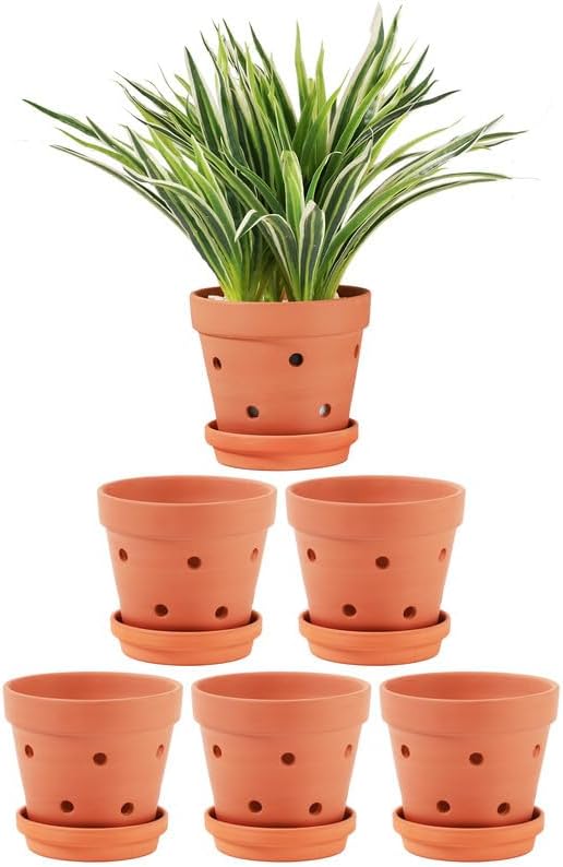 Yishang 5.5 Inch Clay Orchid Pots with Drainage Holes & Saucers - 6 Pack Small Terracotta Planter Pots for Repotting, Plant Flower Pots for Orchid Indoor & Outdoor, Promotes Air Circulation