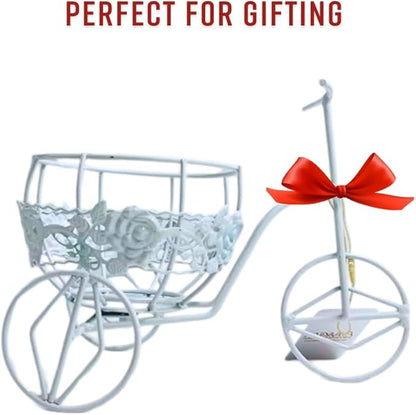 White Metal Antique Finish Mini Cycle Planter | All-Season Decorative Planter for Indoor & Outdoor Plants | Shabby Chic Garden Decor for Patio, Porch & Backyard | Thoughtful Gift