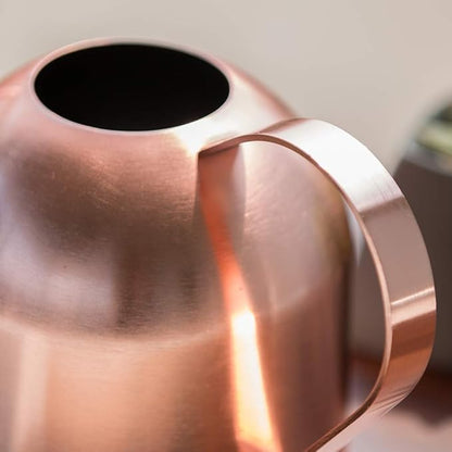 Stainless Steel Water Can for Indoor Plants and Garden (Rose Gold 30 oz)