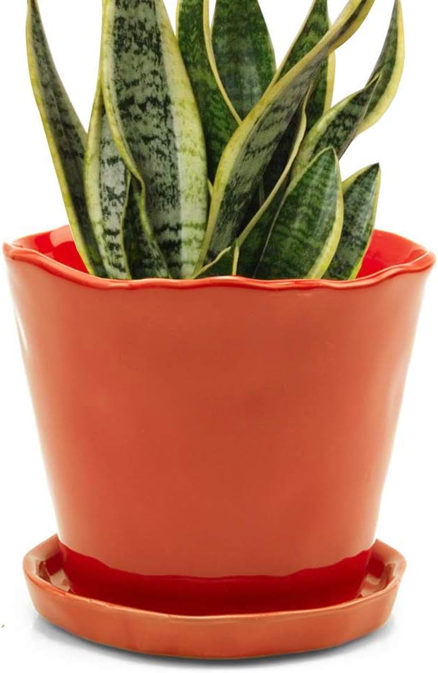 CHIVE ‘Tika’ Ceramic Planter Pot — Large 8" Succulent Pots for Indoor & Outdoor House Plants — Cute, Beautiful Modern Farmhouse Kitchen Decor — Orange