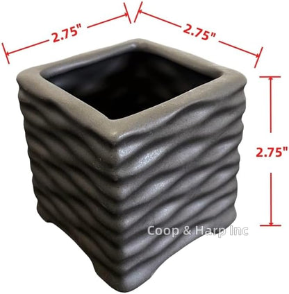 Coop & Harp 3-Stalk 4" Lucky Bamboo Live Indoor Plant with Ceramic Cube Textured Vase, Live Indoor Lucky Bamboo for Home, Office and Gift (Cube Black)
