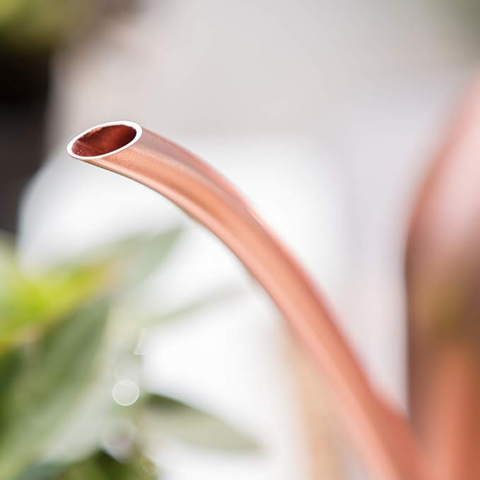 Stainless Steel Water Can for Indoor Plants and Garden (Rose Gold 30 oz)