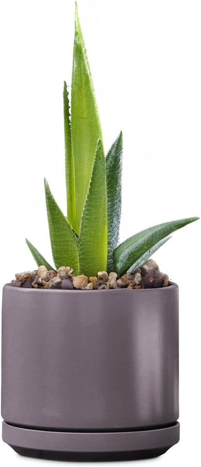 PLANTATOREM Ceramic 12 Inch Mid Modern Planter Pot with Drainage Hole and Saucer, Indoor Cylinder Round Flower Pot, Perfect for Planting Succulents, Herbs, Flowers, House Plants, Pastel Taupe