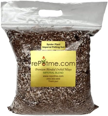 Spider Plant Imperial Houseplant Potting Soil Mix by rePotme - Standard Bag (8 Quarts)