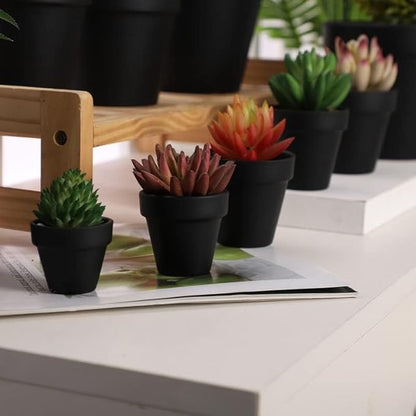 Yishang 1.9 Inch Tiny Black Terracotta Pots Pack of 36-Small Mini White Clay Pots with Drainage Holes Flower Nursery Terra Cotta Planter for Tiny Cactus,Herb,Succulent Plants,Crafts