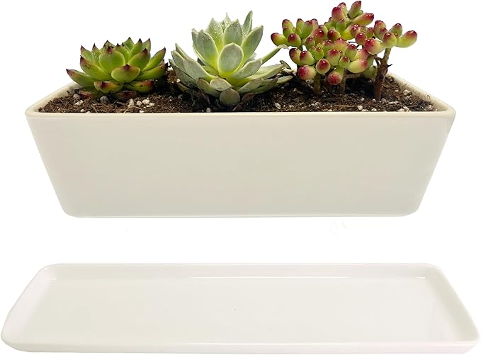 Kipokalor Rectangular White Ceramic Succulent Planter Pot,one Set of 10.19x4.64x3.22inch Modern Minimalist with Ceramic Saucer for Office,Desk,Window.
