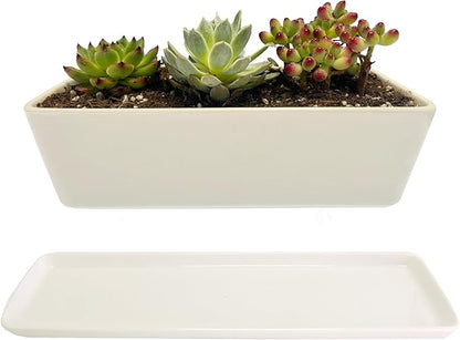 Kipokalor Rectangular White Ceramic Succulent Planter Pot,one Set of 10.19x4.64x3.22inch Modern Minimalist with Ceramic Saucer for Office,Desk,Window.