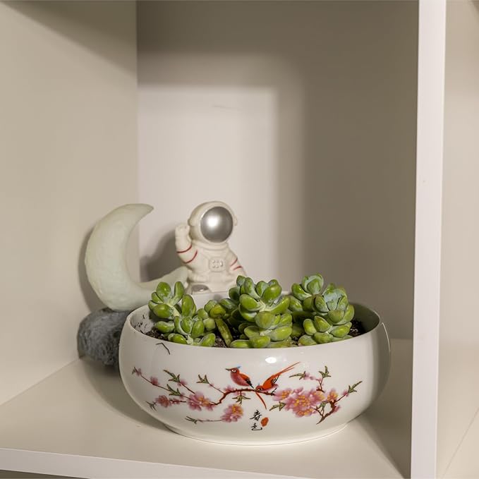 TOIVO Lotus Bowl Planter, Coarse Pottery Water Lily Flower Pot with Plastic Base, 7.8 inches (A-1)