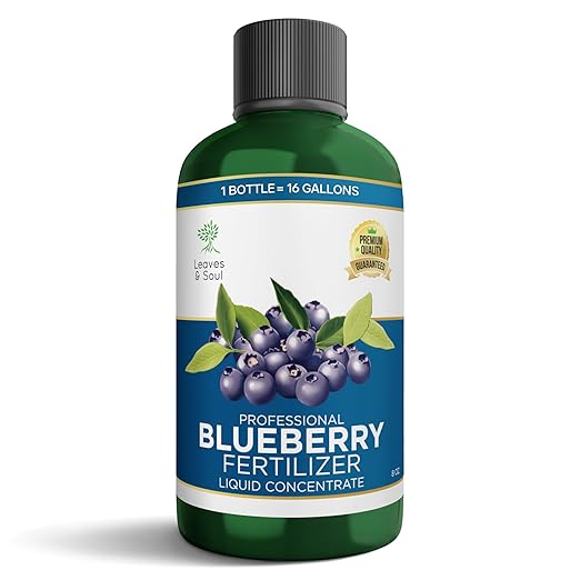Leaves and Soul Professional Blueberry Fertilizer Liquid Concentrate - 6-4-6 Blend Liquid Garden Fertilizer for Blueberries - Plant Food for Blueberry Bushes and Plants - 8oz