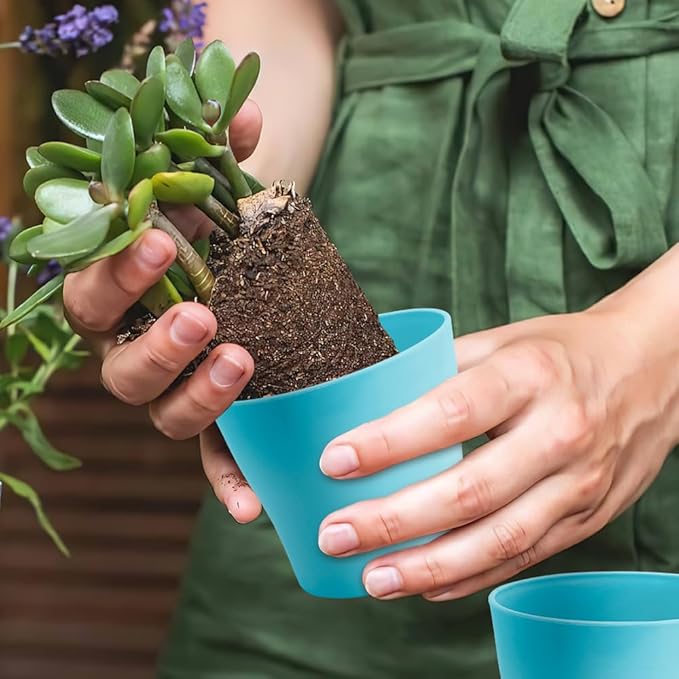OALCQ 4 Inch Plant Pots - 10 Pcs Blue Flower Pots for Indoor Succulent Plants with Drainage