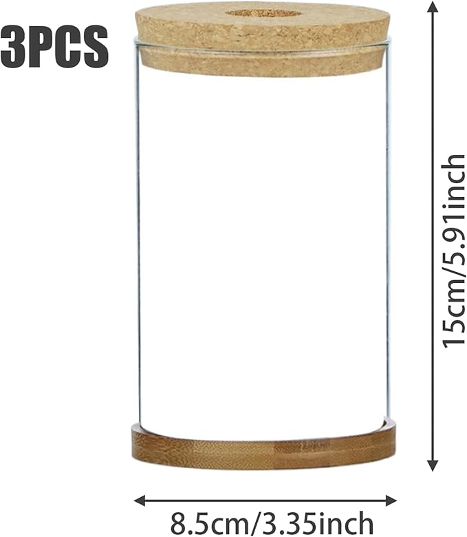 3Pcs Plant Propagation Station, Transparent Lidded Propagation Stations with Tray Hydroponic DIY Jars for Home Office Desktop, Straight