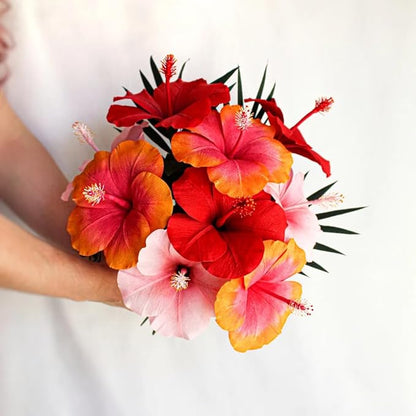 Pink Hibiscus. rosa-sinensis. Live Plant - Tropical Blooming Hibiscus, Pretty Flowers, Used in Tea and Juice (4 Pink Hibiscus Cups)