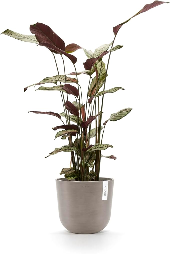 Ecopots Oslo Durable Modern Round Indoor/Outdoor Recycled-Based Composite Flower Pot Planter, Taupe, 10"