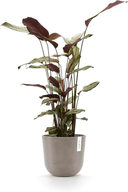 Ecopots Oslo Durable Modern Round Indoor/Outdoor Recycled-Based Composite Flower Pot Planter, Taupe, 10"