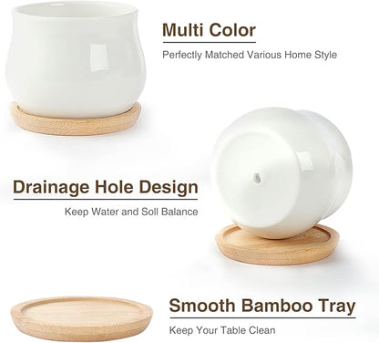 12 Pack Succulent Plant Pot, Mini 2.6 inch Ceramic Flower Planter Pot with Bamboo Tray, Small Pots for Plants, Plants Not Included （White, Black）