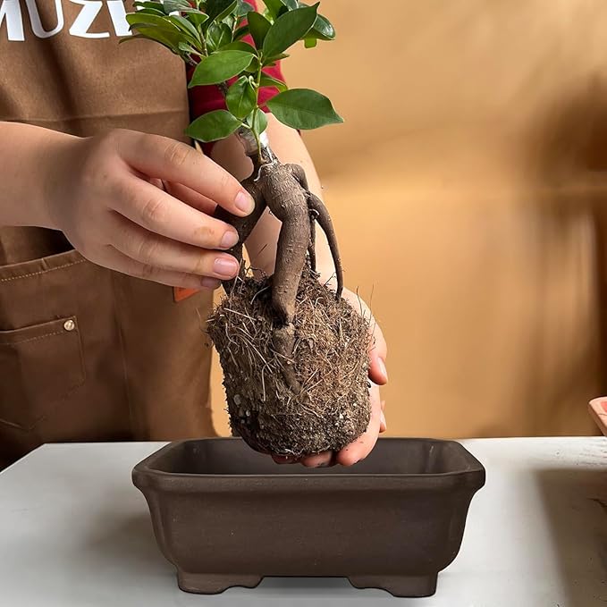MUZHI 2PACK Unglazed 6” Ceramic Bonsai Pot with Humidity Trays, Breathable Handmade Rectangle Bonsai Starter Planter for Bonsai Tree, Juniper,Ficus, Money Tree