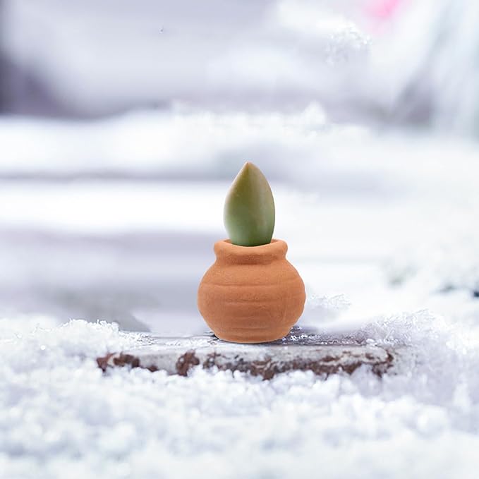 Alasum 8PCS Small Terracotta Pots Mini Clay Planters for Succulents Indoor Use Tiny Reusable Flower Pots for Desktop Decoration and Healthy Plant Growth