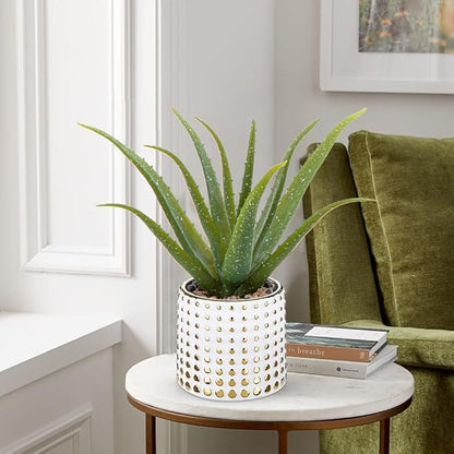 Artificial Succulent Aloe Plants 14.2 Inch Large Faux Succulents with Ceramic Pot Fake Aloe Potted Plant for Home Indoor Bathroom Table Bedroom Shelf Office Decor