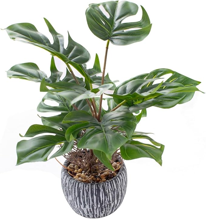 AlphaAcc 12" Faux Monstera Plant Tropical Greenery Small Fake Deliciosa Plants in Black Rustic Pot for Bathroom Kitchen Livingroom Nightstand Office Artificial Plants Decor